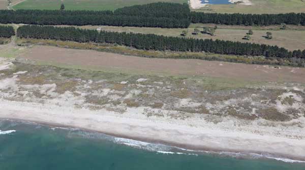 Te Tumu Kaituna home image