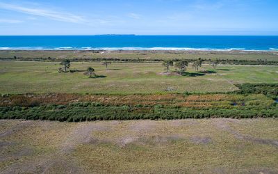 Video & Minutes from Owners Engagement Hui #3