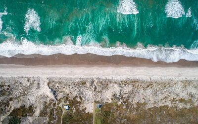 Developing our Whenua – TK14 Trustees’ Guiding Principles