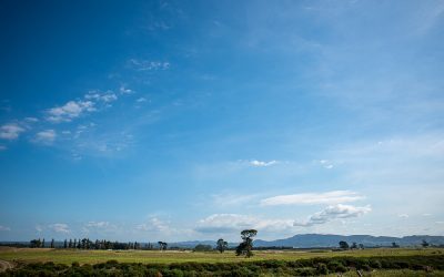 The Te Tumu Kaituna 14 Trust answers questions from a TK14 owner
