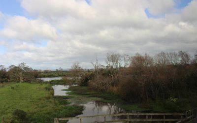 Owners’ Pānui – November 2025