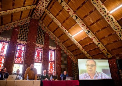 TTK14 - Tamatekapua Marae Hui