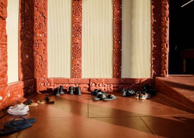 TTK14 - Tamatekapua Marae Hui
